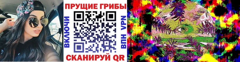 Галлюциногенные грибы Psilocybine cubensis  Купить закладки  Медвежьегорск 