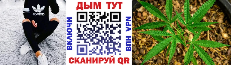 Купить закладки  Медвежьегорск  Конопля индика 